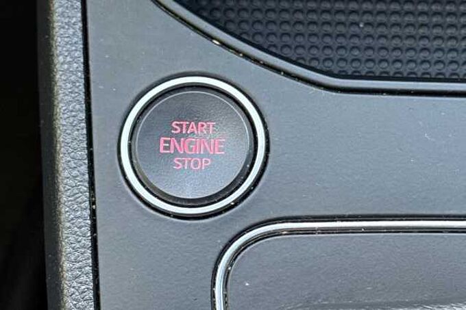 SEAT Ibiza 1.0 TSI 110 Xcellence Lux 5dr DSG